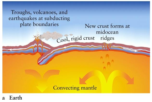 subduction zone activity Venusian lithosphere is too hot & soft to sustain forces Subducted water