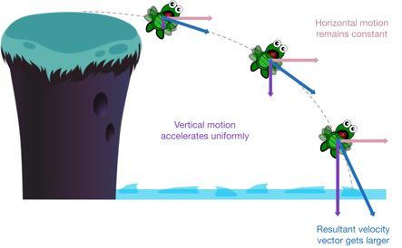 Horizontal and Vertical Motion Horizontal and Vertical Motion When dealing with projectile motion, it is important to deal with horizontal and vertical motion separately.