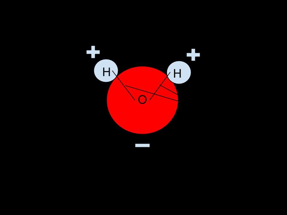 The Water Molecule The Properties of Water Chapter 2.