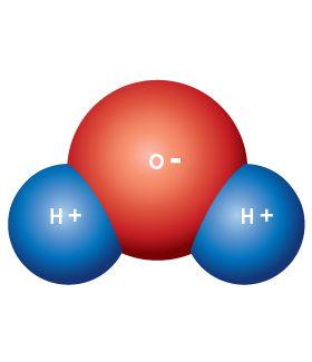 - partially negative Hydrogen end - partially positive Hydrogen bonding B/c of partial pos. and neg.