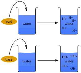 Will dissolve - hydrophilic substances - ions or polar molecules are attracted to partial charges on water molecules Ex.