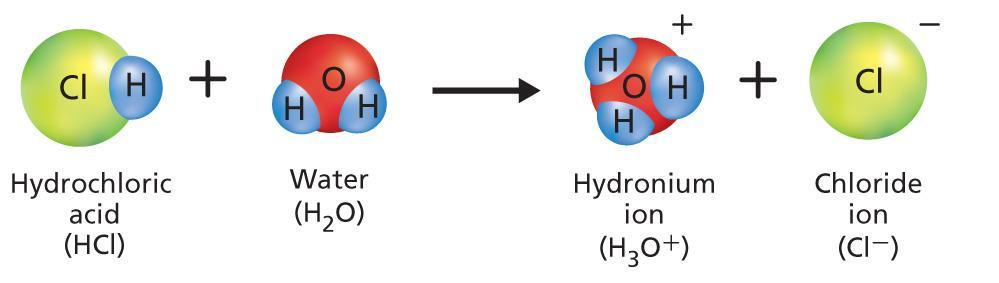 When an acid mixes with water, the hydrogen atom separates from the acid