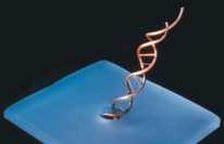 Nanopores and Nanofluidics for Single DNA Studies