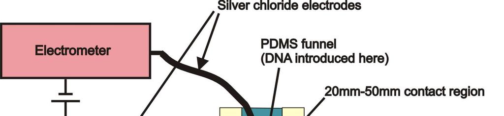 Single-DNA detection using a