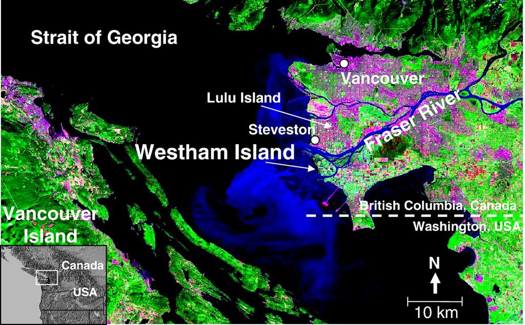474 M.L. Kirwan, A.B. Murray / Global and Planetary Change 60 (2008) 471 486 Fig. 1. Landsat image of Westham Island, British Columbia study area.