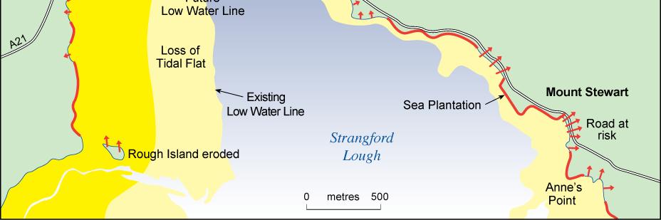1m rise in sea-level (SL) = significant loss of tidal mudflats (habitats)