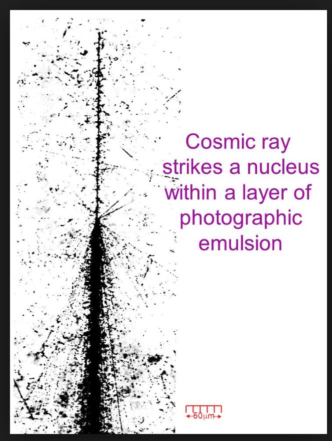 Vertical stack of photographic emulsion (silver bromide AgBr) exposed to cosmic rays in a balloon flight.