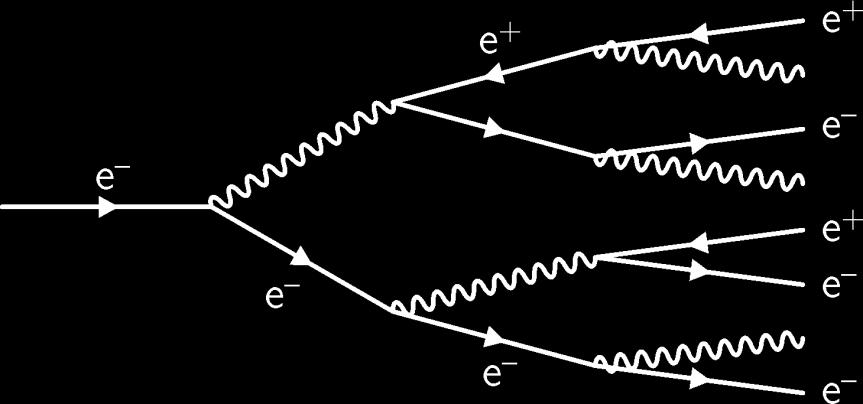A Veeery Simple Shower Model Assumptions: E 0 E 0 /2 E 0 /4 E 0 /8 An electron emits half of its energy as a single photon after L rad.