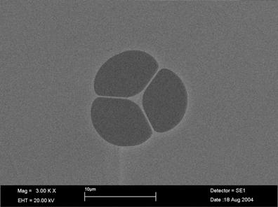 CHAPTER 4 Fabrication of simple structure soft glass HF 155 4.4.8 Birefringence Figure 4.43 is the fibre sample with core size of 1.2μm (F2#1) used in this measurement. As can be seen in Figure 4.