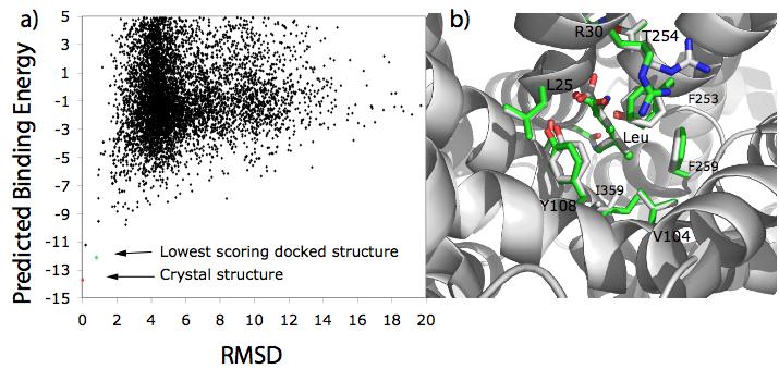 RosettaLigand Correctly Docks Leucine into the LeuT Aa Structure The self-docking of leucine back into the LeuT Aa crystal structure serves to evaluate ROSETTALIGAND performance in docking to a NSS