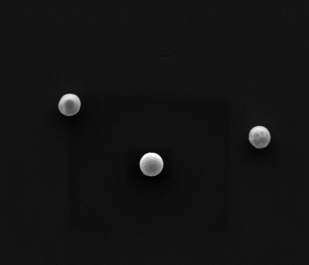 (SEM) 5 µm Spherical particles