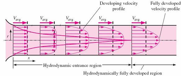 Hydrodynamic entrance region - the region from the pipe inlet to the point at which the boundary layer merges at the centerline.