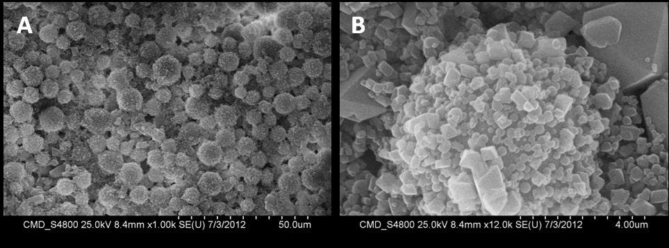 Weight (%) Weight (%) Weight (%) This journal is The Royal Society of Chemistry 212 Figure S3. The SEM images of SOS-COOH@HKUST-1 composite microspheres at different magnifications.