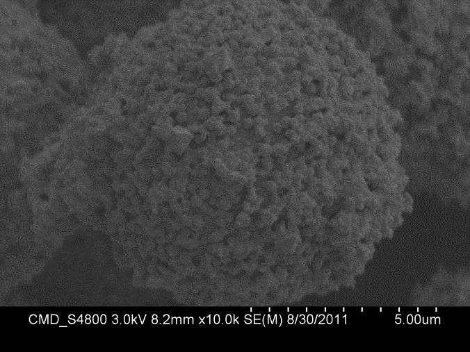 HKUST-1 was formed on the SOS particles (SEM images & ).
