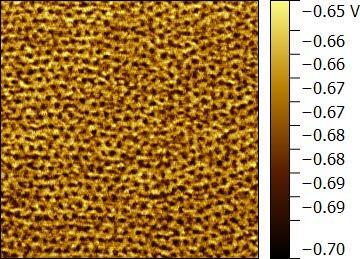Fig. S4 AFM stiffness image (1 µm 1 µm) of PLA-b-PS thin films after annealing