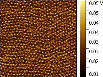 S5 AFM adhesion image (1 µm 1 µm) of PLA-b-PS thin films after annealing with