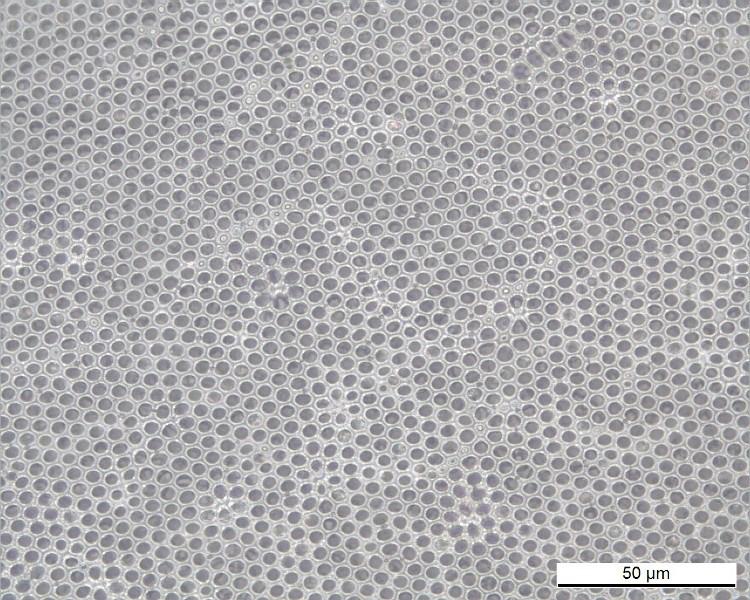 Honeycomb films from PLA-b-PS copolymer The HC microporous films were prepared by the BF process in a closed chamber with a relative humidity between 40 and 55 % and a temperature between 21 C and 23