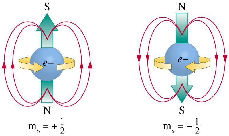 An isolated electron will align itself with an external magnetic field just like a classical bar magnet.