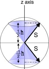 L and S are both angular momentum vectors The spin angular momentum quantum number S is ALWAYS 1/2. So we don't mention it in the H atom state.