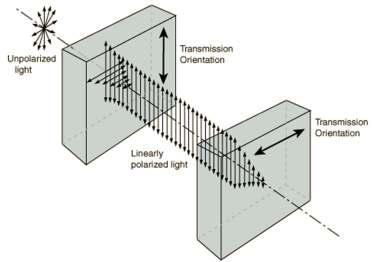 Crossed polarizers block light Blocking both and