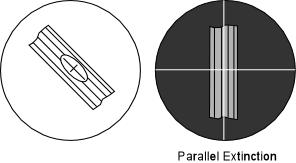 Types of extinction Parallel extinction when the crystal s long