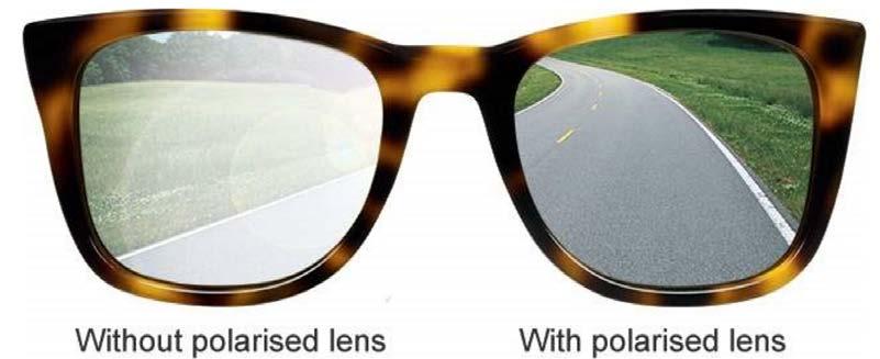 Which to buy? Polarized vs. Non-Polarized sunglasses?