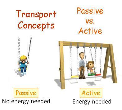 Passive and active transports Passive transport: is the movement molecules across a membrane from an area of high concentration to low concentration WITHOUT the need of energy.