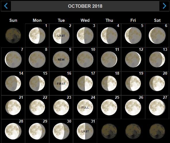 Phases of the moon Moon calendar New moon First quarter (crescent moon) Last quarter or Third