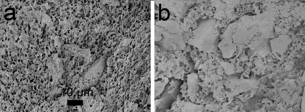 nanocomposite gel. Figure S5.