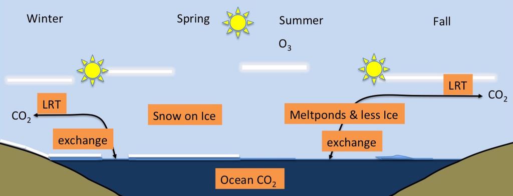 O-Buoys sense CO 2 exchange CO 2 is transported into and out of the Arctic and can