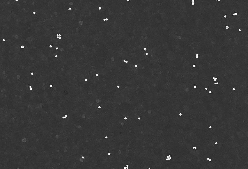 1 Wide field image of the sample 1 µm Figure S1: Scanning electron microscope image of the self-assembled dimer nanoparticle antennas on ITO substrate.
