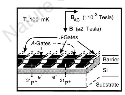 phosphorus atoms embedded in a zero-spin silicon substrate Standard VLSI gates on top control electric field, allowing electrons to read nuclear state