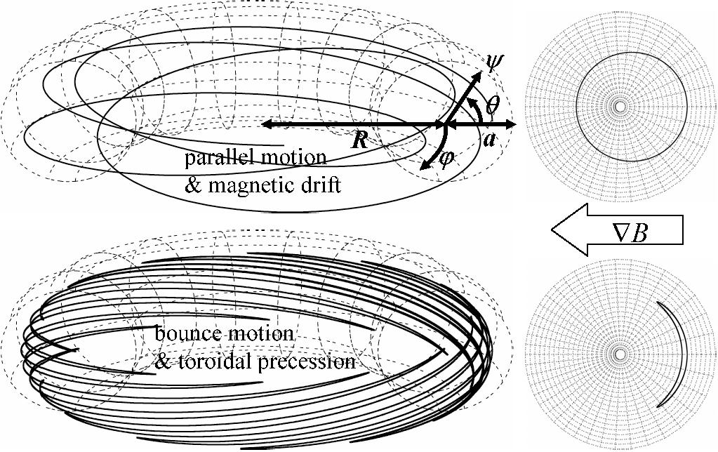 Particle motion in a tokamak Passing (top) and trapped (bottom) particle orbits: the guiding centres almost follow the equilibrium magnetic field.