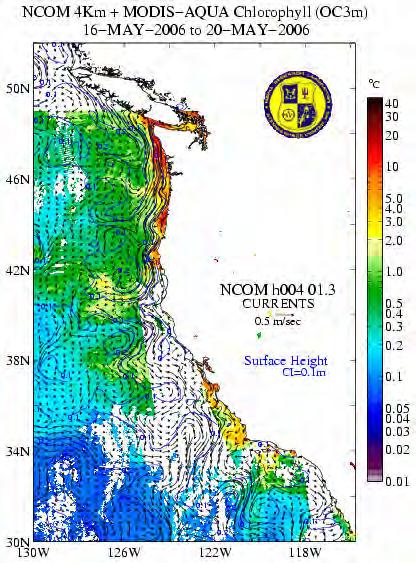 NW Coast Model Currents & SSH with Model Chlorophyll