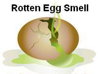 Rotten Egg Lab