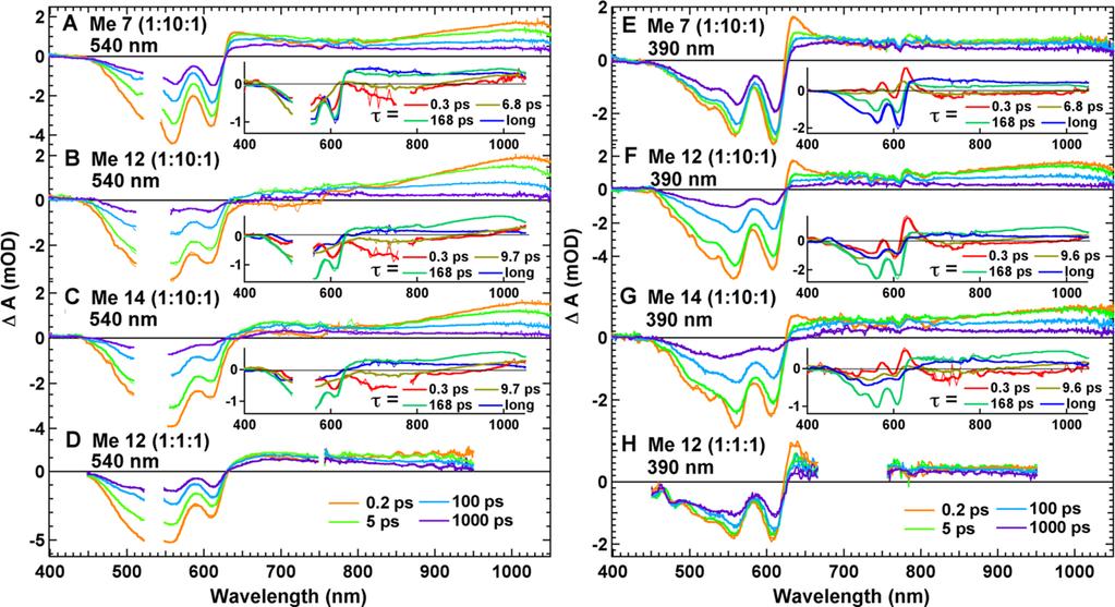 Figure 6. TA spectra at selected time delays for 1:1 pbttt:pcbm films processed with Me 7, Me 12, and Me 14 additives, following excitation at 540 nm (A D) or at 390 nm (E H).