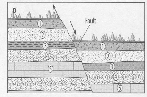 by movement along a fault.