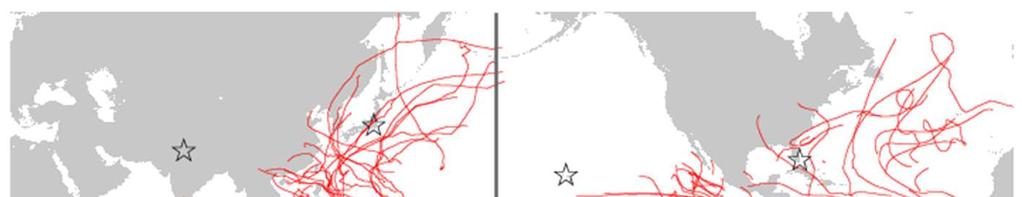 TC Verification TC tracks on 2012 season Northern-Hemisphere [2012/01/01 to 2012/12/31] Southern-Hemisphere