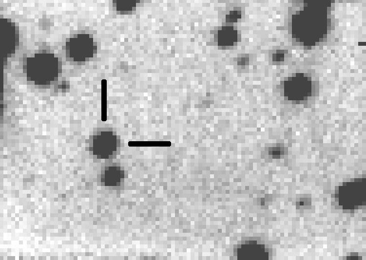Mon. Not. R. Astron. Soc. 000, 000 000 (0000) Printed 4 May 2009 (MN LATEX style file v2.2) The eclipsing Intermediate Polar V597 Pup (Nova Puppis 2007) arxiv:0905.0325v1 [astro-ph.