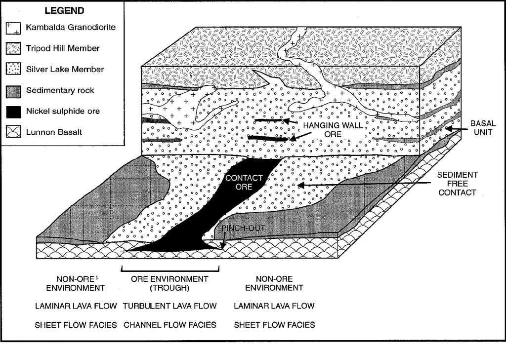 Ni mineralisation associated with ultramafic rocks