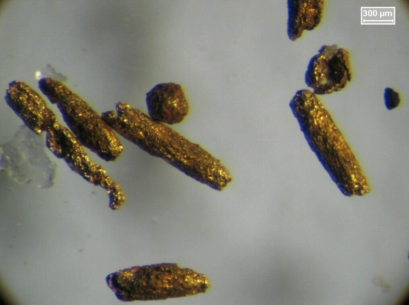 Curral de Pedra: Free-Milling Gold microscope image of the +65# fraction