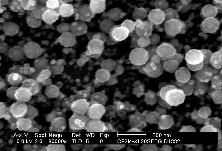 nanocrystallites SEM, discharge duration: 300s