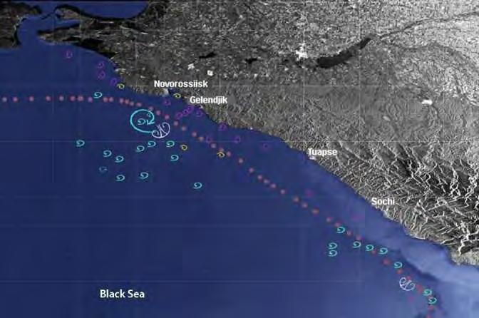 Marine Surface Films Eddy statistics for the northeastern Black Sea July August