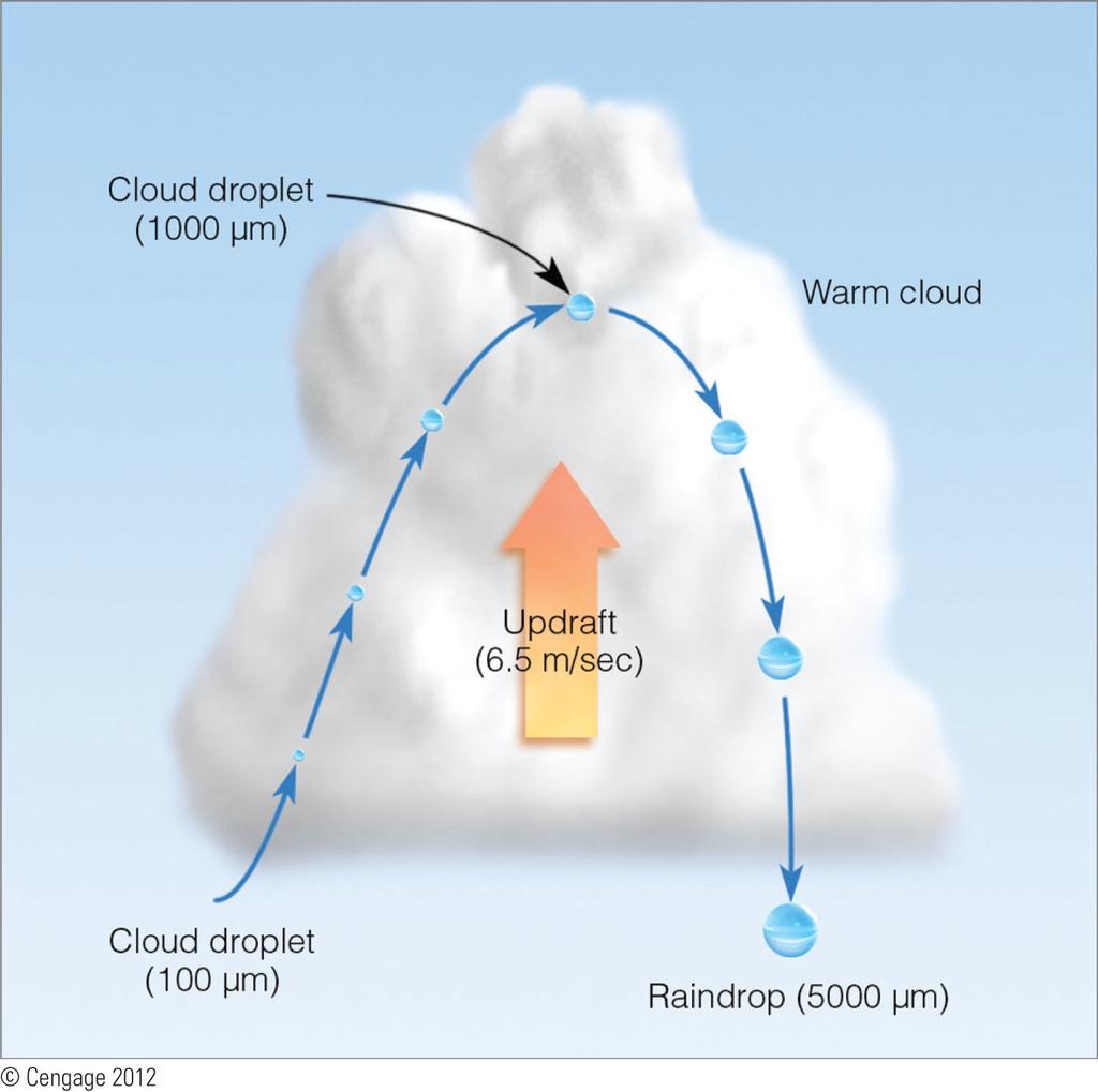 Precipitation Formation Warm Clouds What factors enhance the collision and coalescence process in a warm cloud?