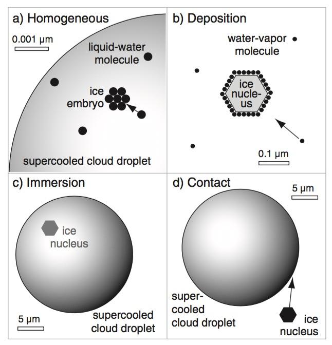 Nucleation of Ice Crystals Why can cloud droplets exist in the liquid phase even when the temperature is below 0 C? What causes supercooled cloud droplets to freeze?