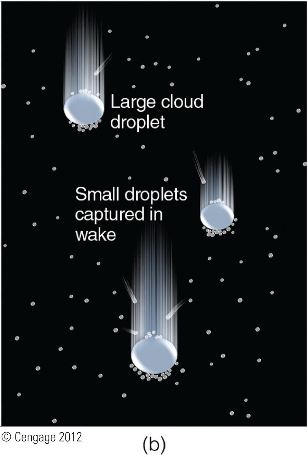 Coalescence: The merging of two liquid cloud droplets. Warm cloud: A cloud in which the temperature is above freezing everywhere and all cloud droplets are liquid.