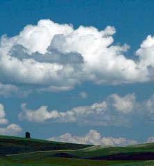 The top of the cloud has rounded towers. These clouds grow upward and form a thunderstorm cloud.
