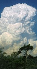 Multi-level Clouds Cumulonimbus clouds are thunderstorm clouds that form if cumulus clouds continue to