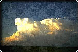 Cumulonimbus clouds are