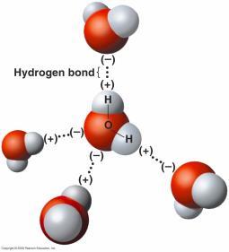 9) Hydrogen Bonding Polar molecules, such as water molecules, have a weak, partial negative charge at one region of the molecule (the oxygen atom in